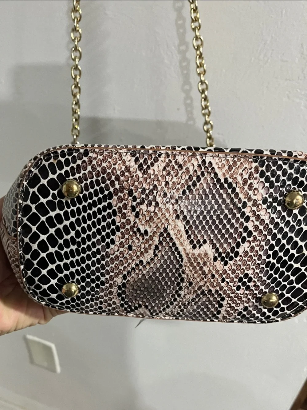 Snake-Print Crossbody Bag in Black and Tan